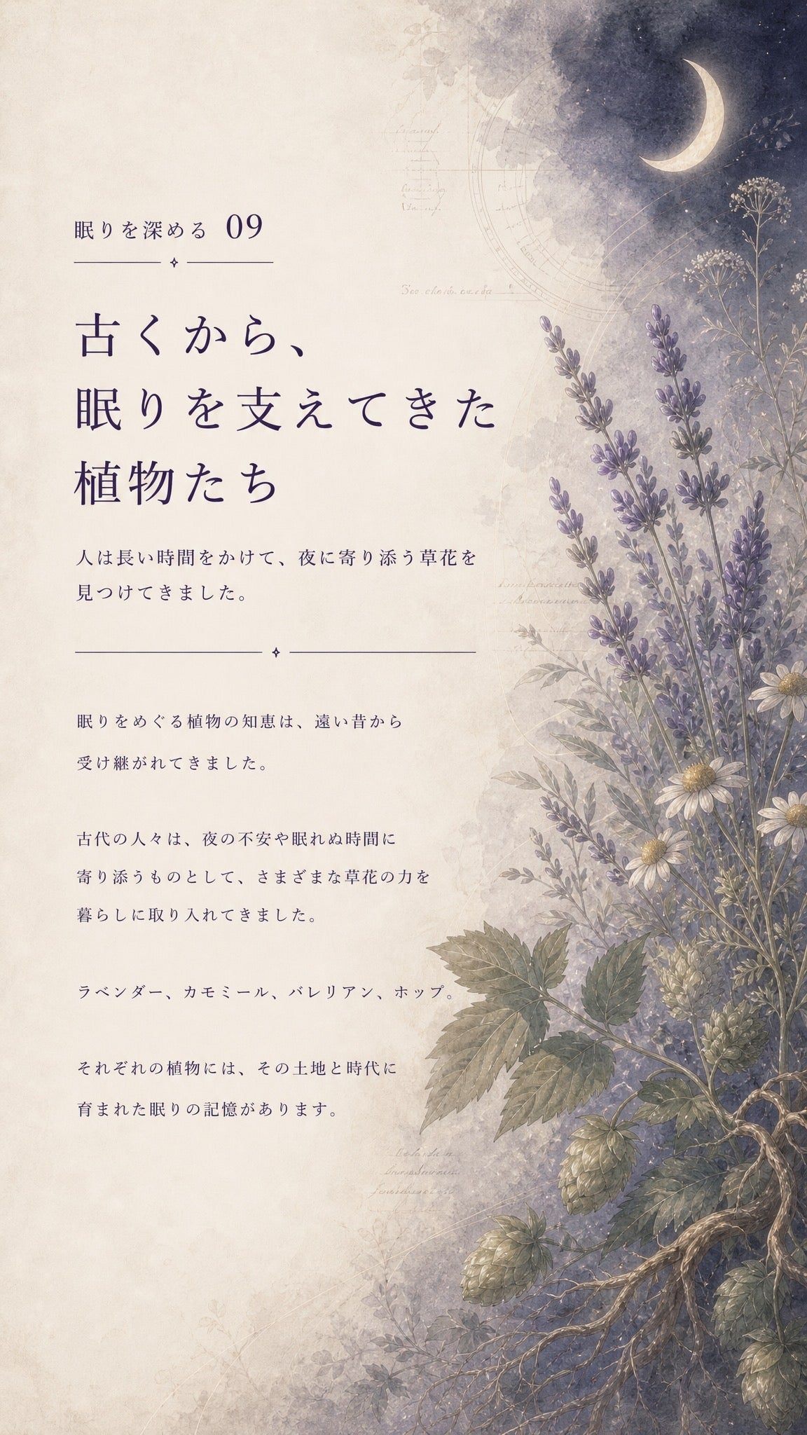 61_深める09_古くから眠りを支えてきた植物たち_p1
